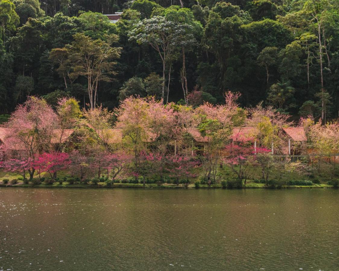 Natureza Eco Lodge فارغيم آلتا المظهر الخارجي الصورة