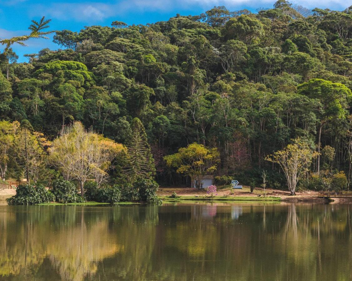 Natureza Eco Lodge فارغيم آلتا المظهر الخارجي الصورة